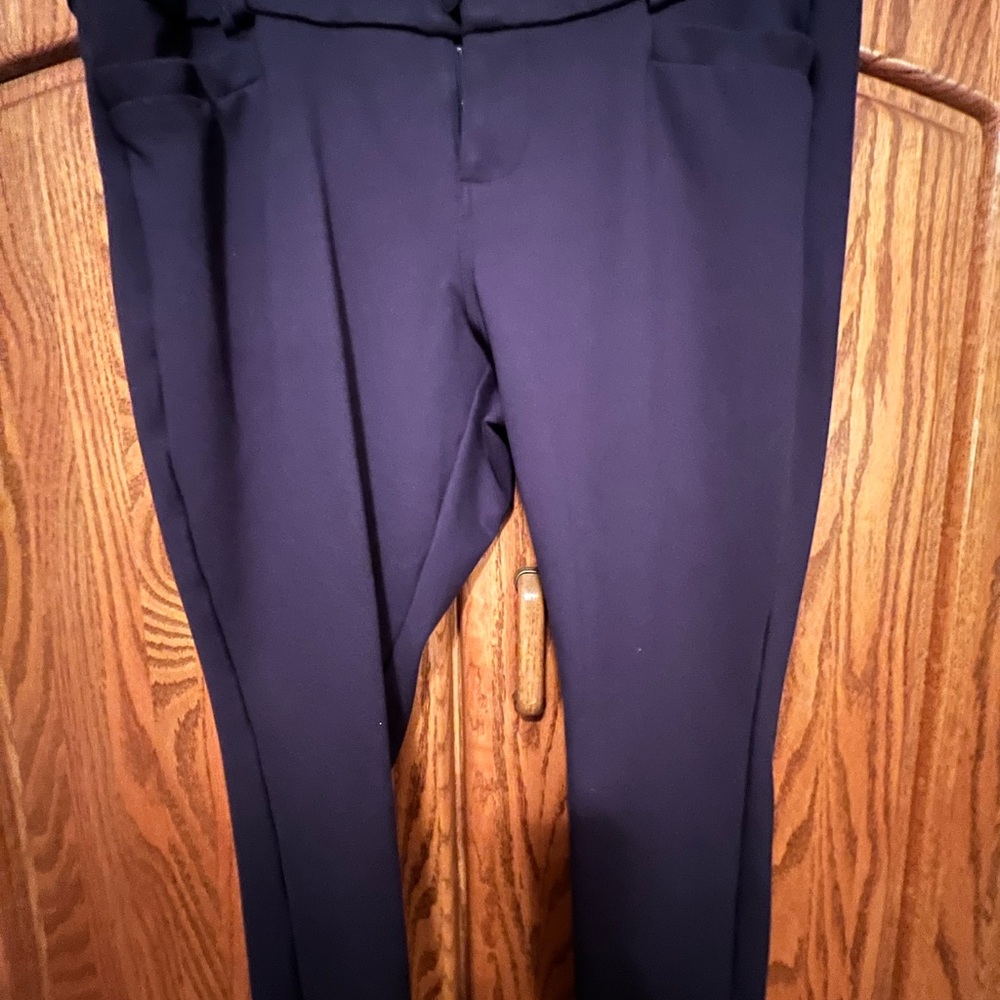 Torrid Navy Skinny Pants